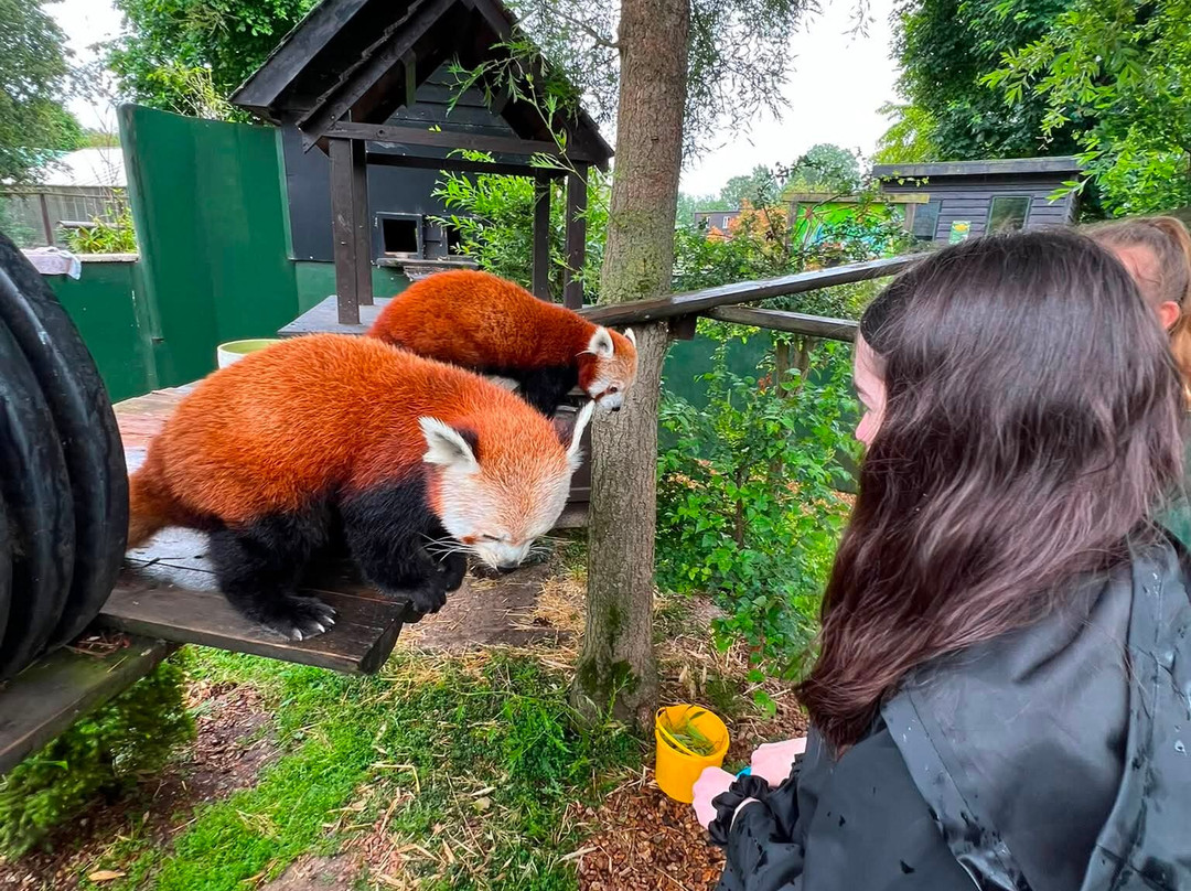 Shepreth Wildlife Park-Shepreth必去景点