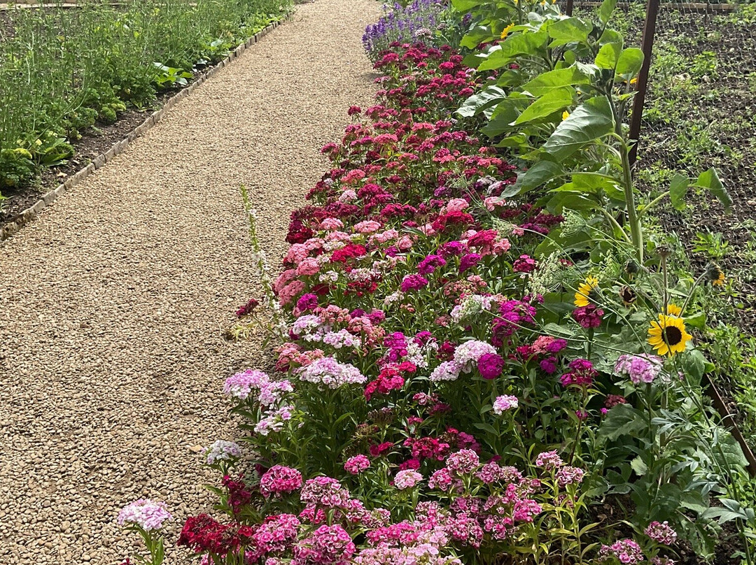 Rousham House & Garden-Rousham必去景点
