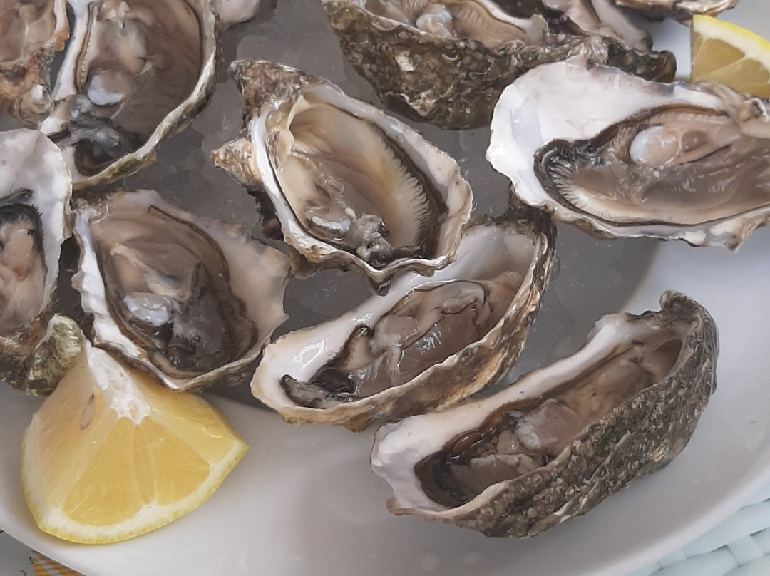 Gastronomia Delizie Marinare-利尼亚诺萨比亚多罗必去景点
