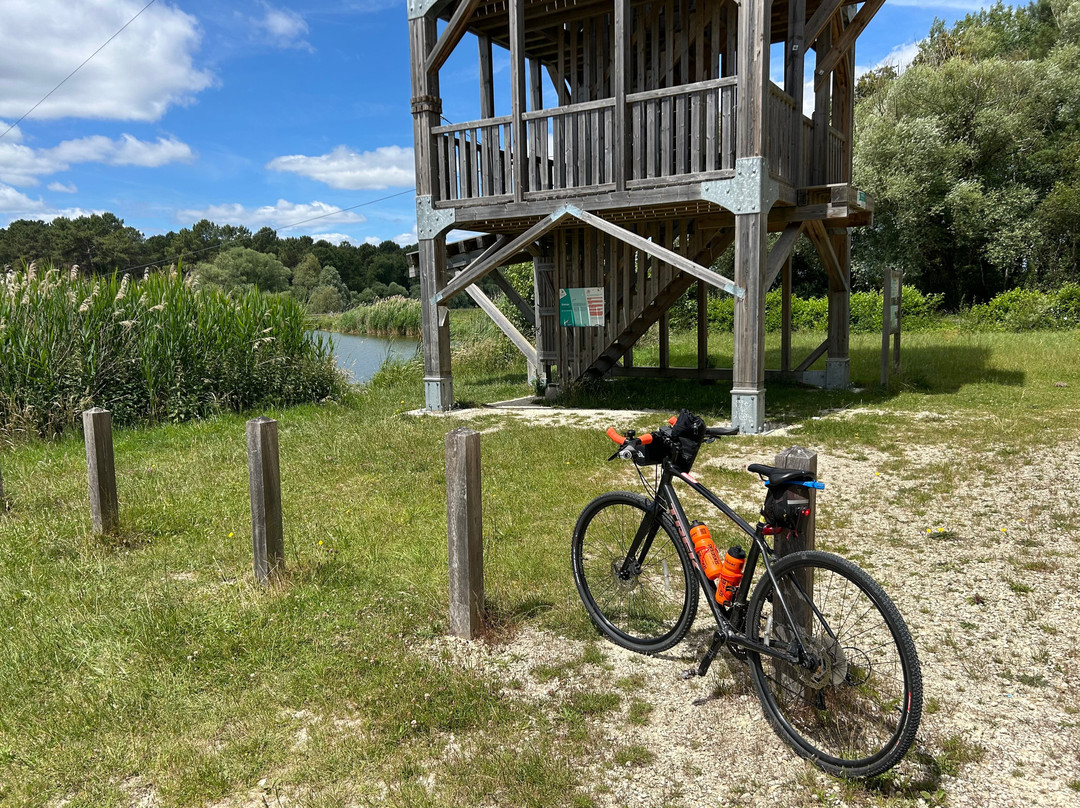 Loire Life Cycling Holidays-Parcay-les-Pins必去景点