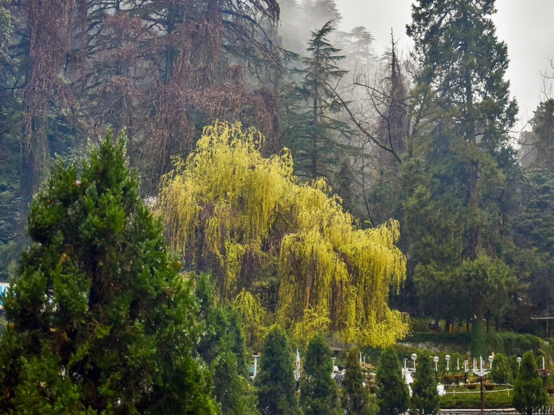 Company Garden-马苏里必去景点
