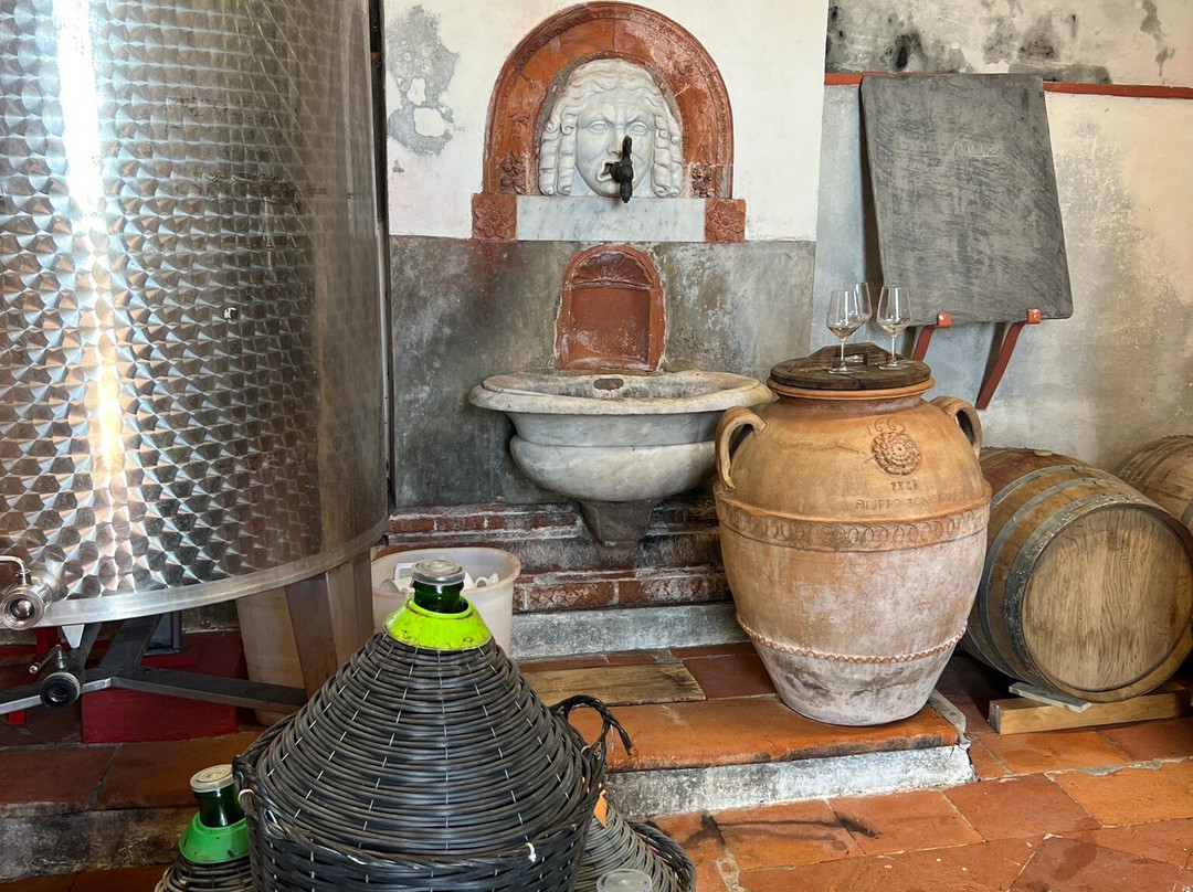 Tenuta Mazzarosa - San Pietro-San Pietro a Marcigliano必去景点