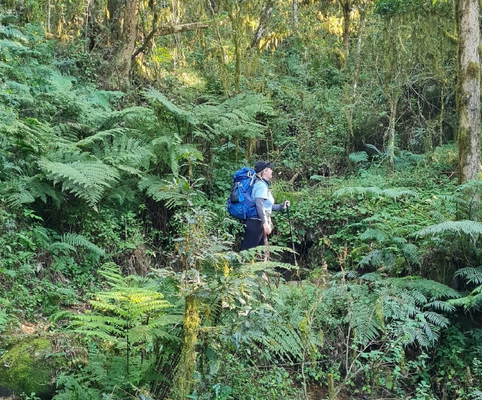 Magoebaskloof Hiking Trail-参宁必去景点