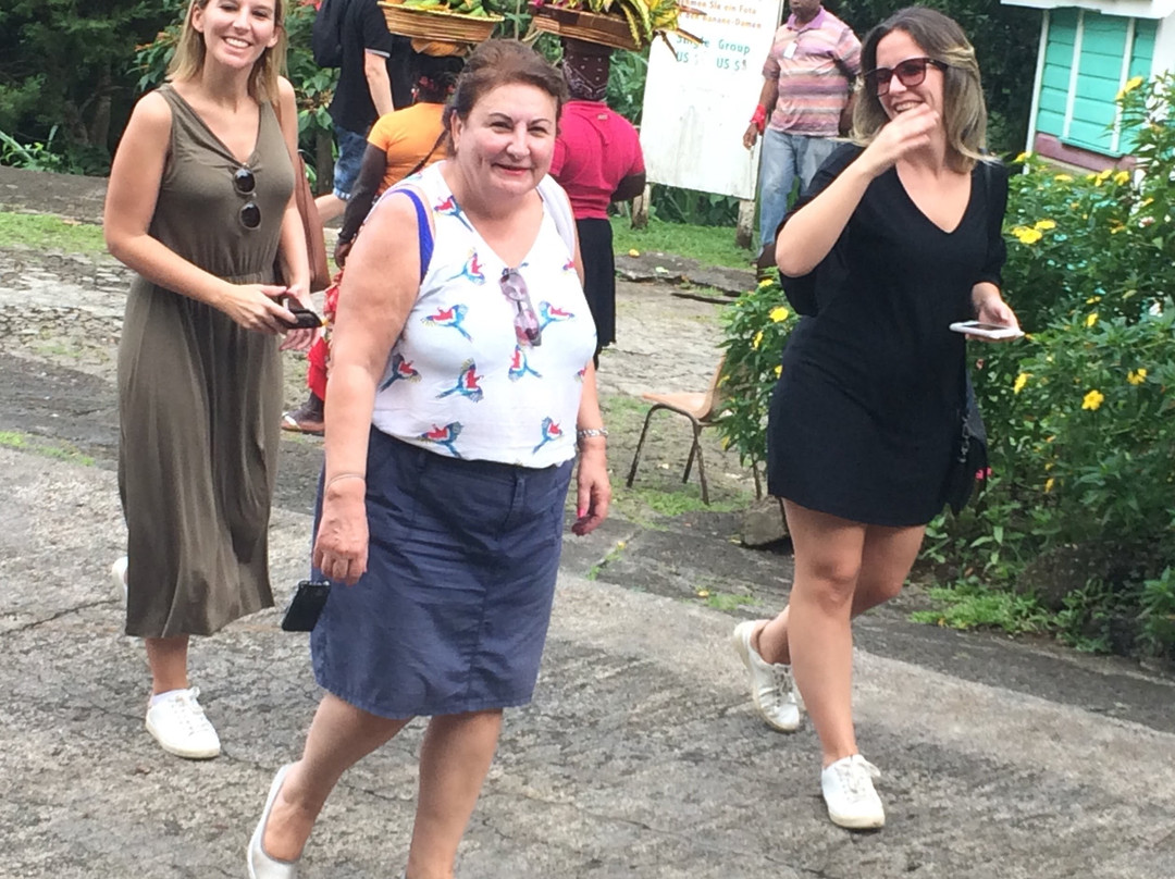 Vision Tours Grenada-St. George's必去景点