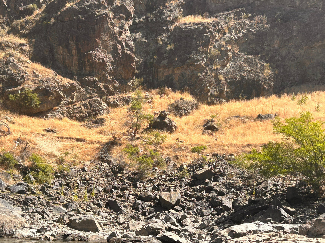 Killgore Adventures Hells Canyon Jet Boat Trips & Fishing Trips-White Bird必去景点