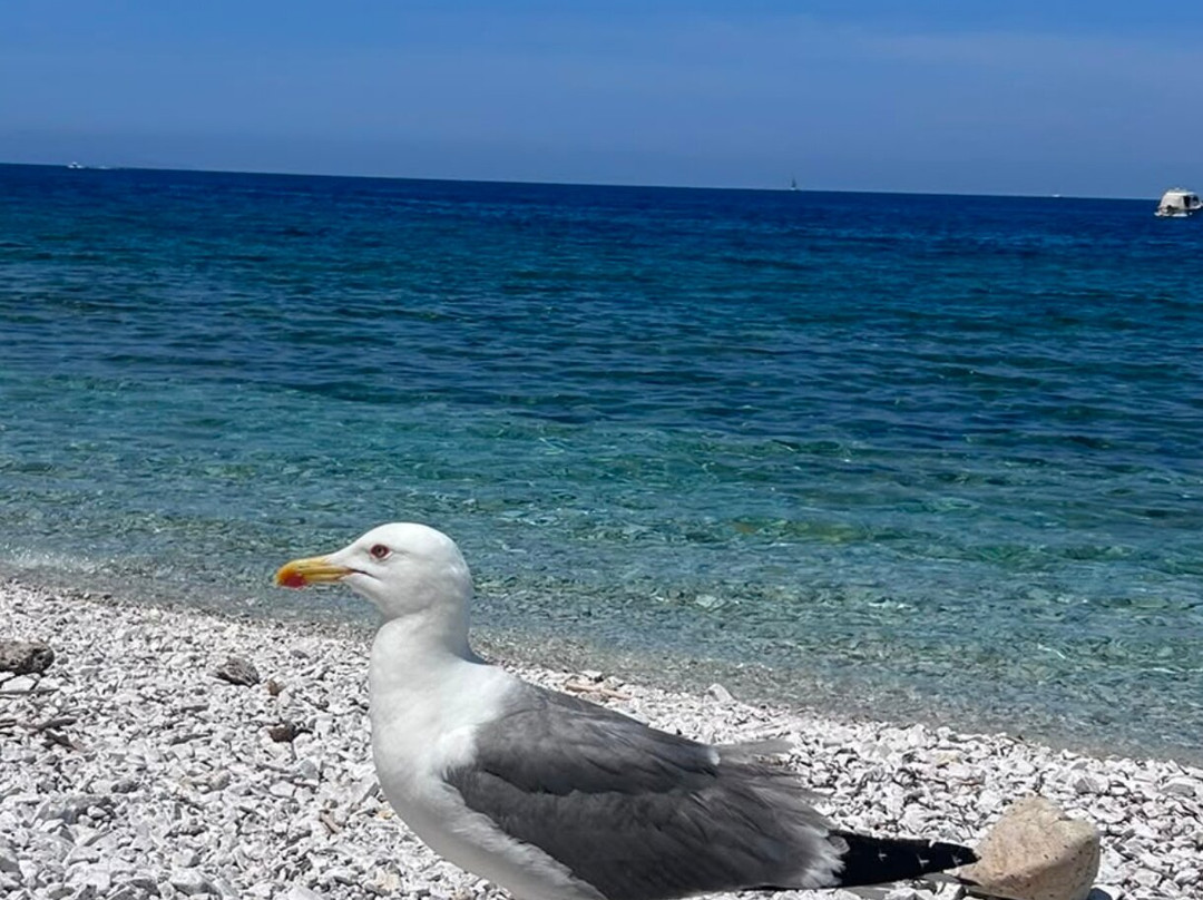 Spiaggia di Sottobomba-费拉约港必去景点