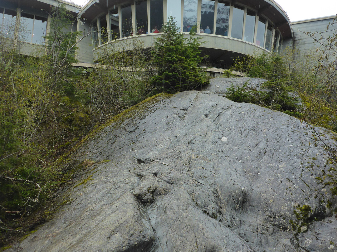 Mendenhall Glacier-朱诺必去景点