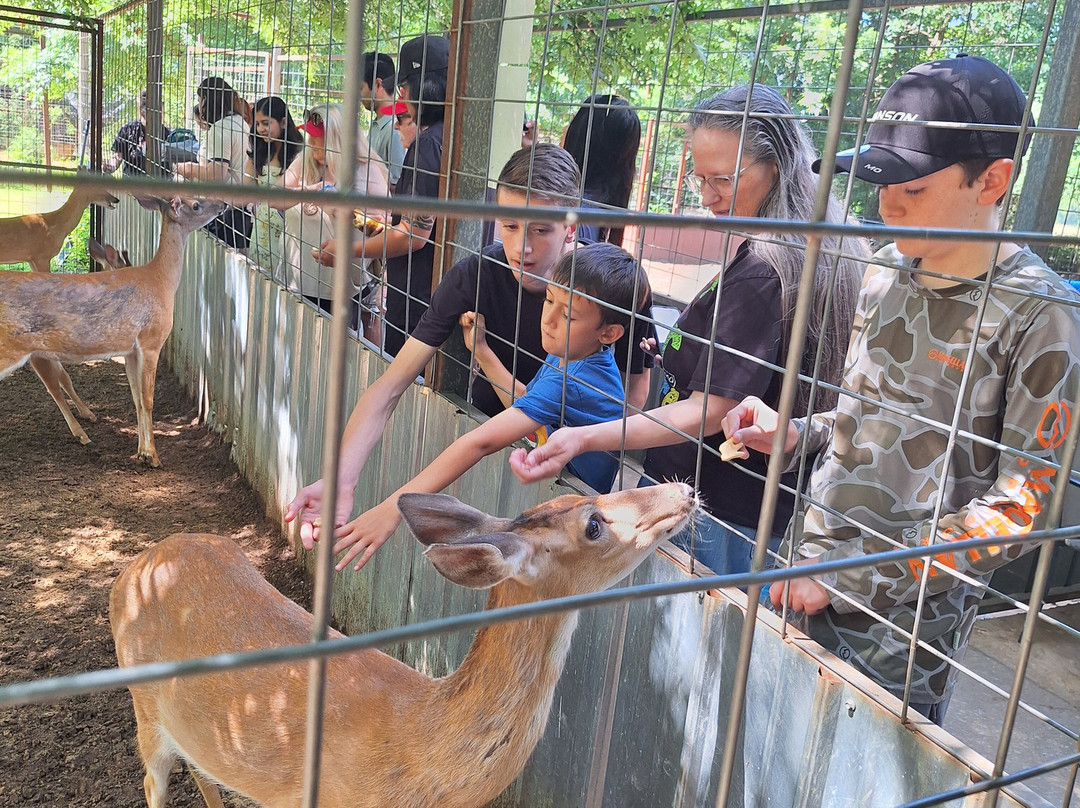 Safari Zoological Park-Caney必去景点