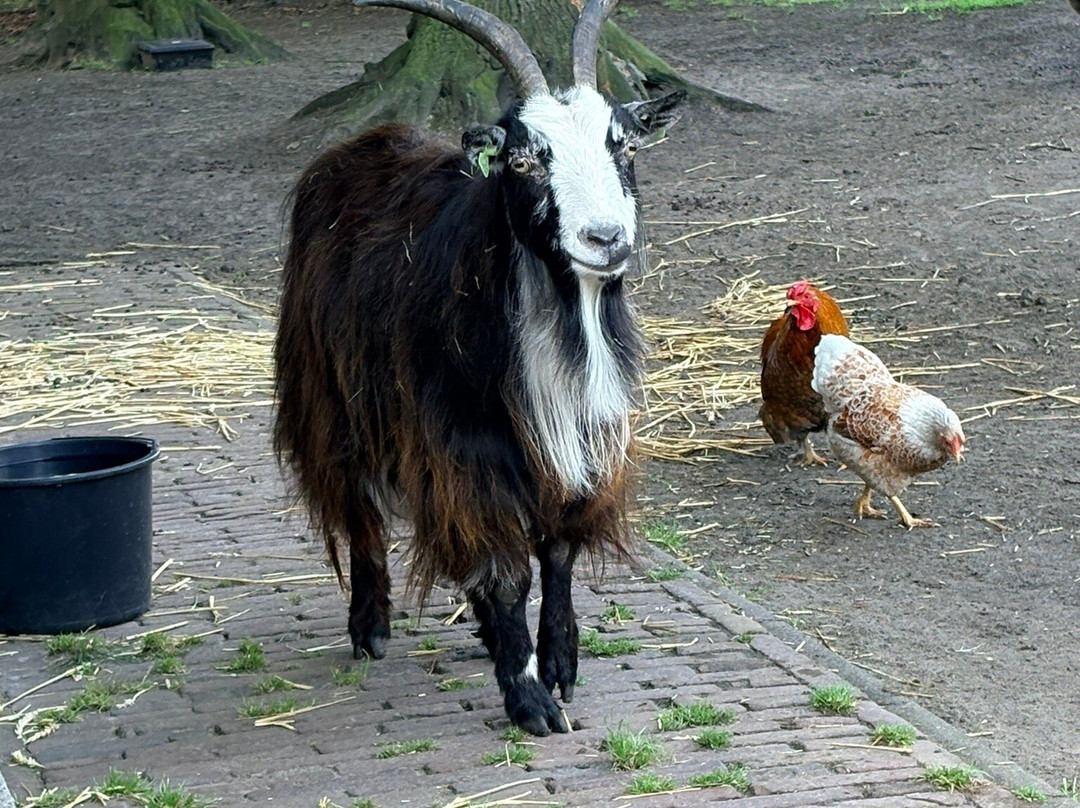 Efteling Loonsche Land Hotel主图