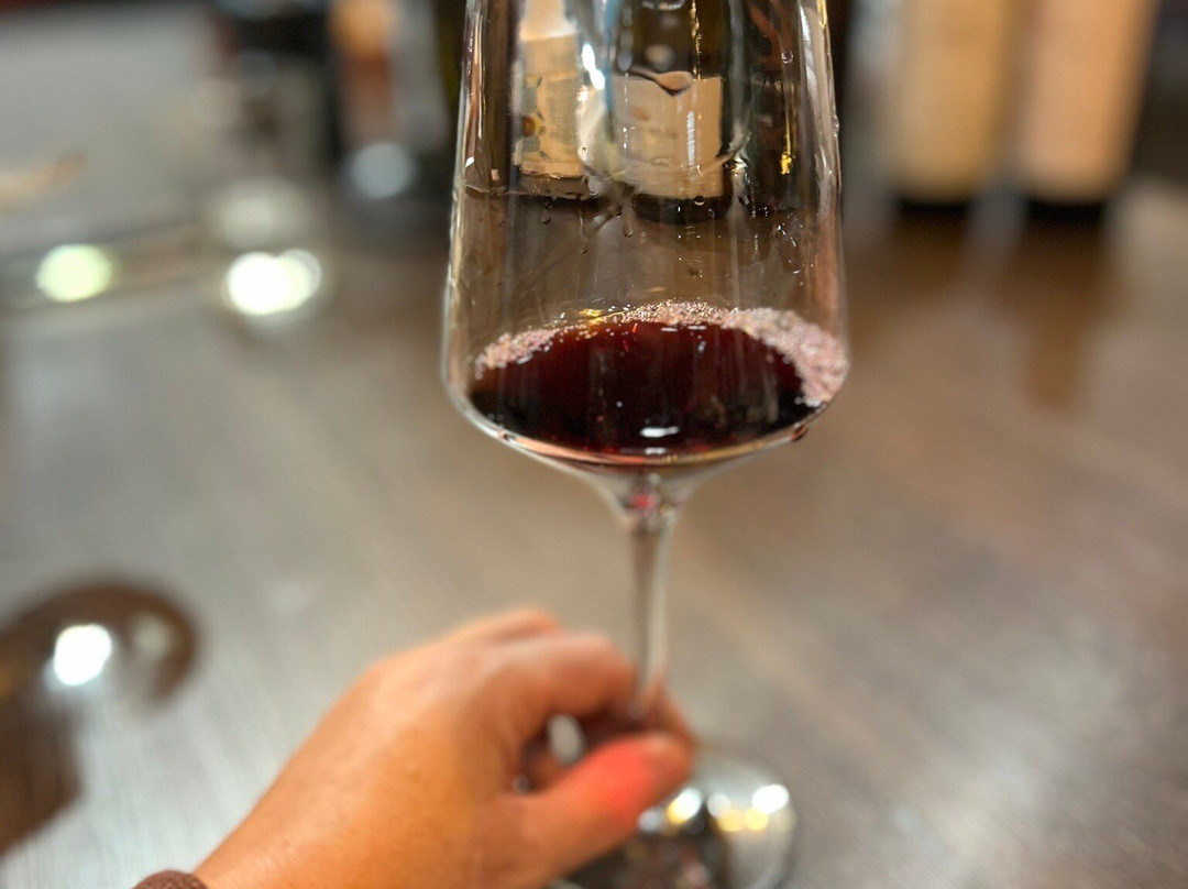 Loja - Dunamis Vinhos & Vinhedos-格拉玛多必去景点