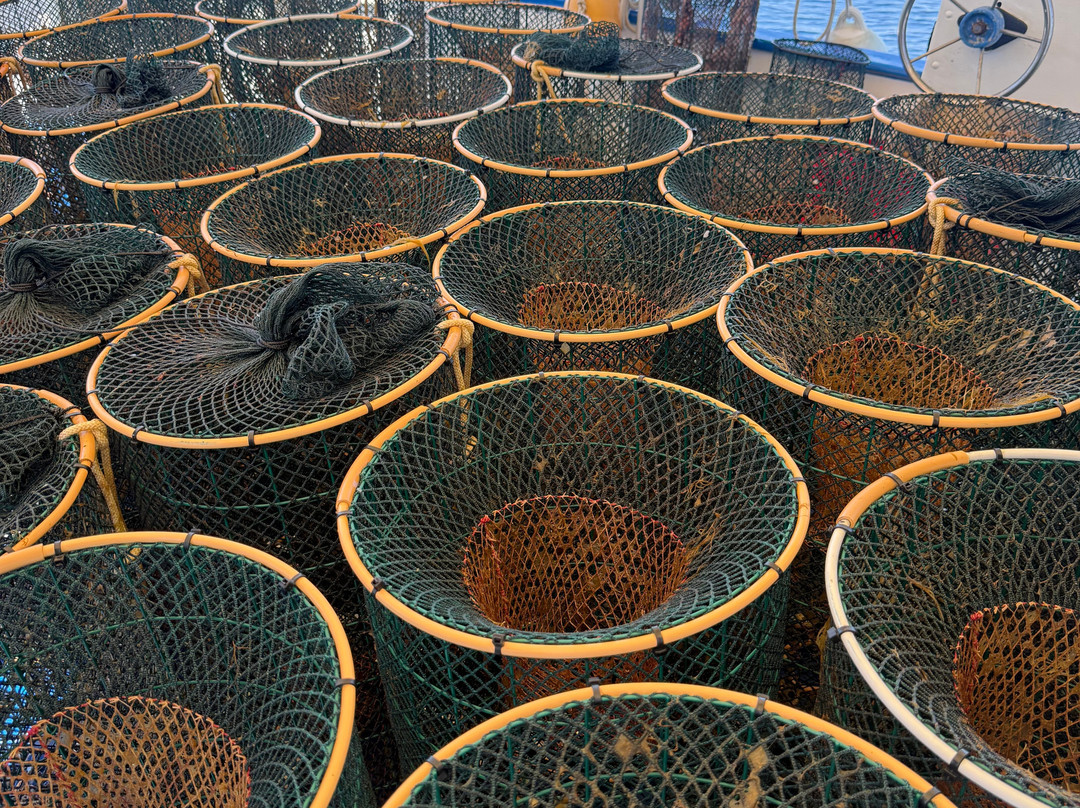 Pescaturismo K2-萨萨里省必去景点