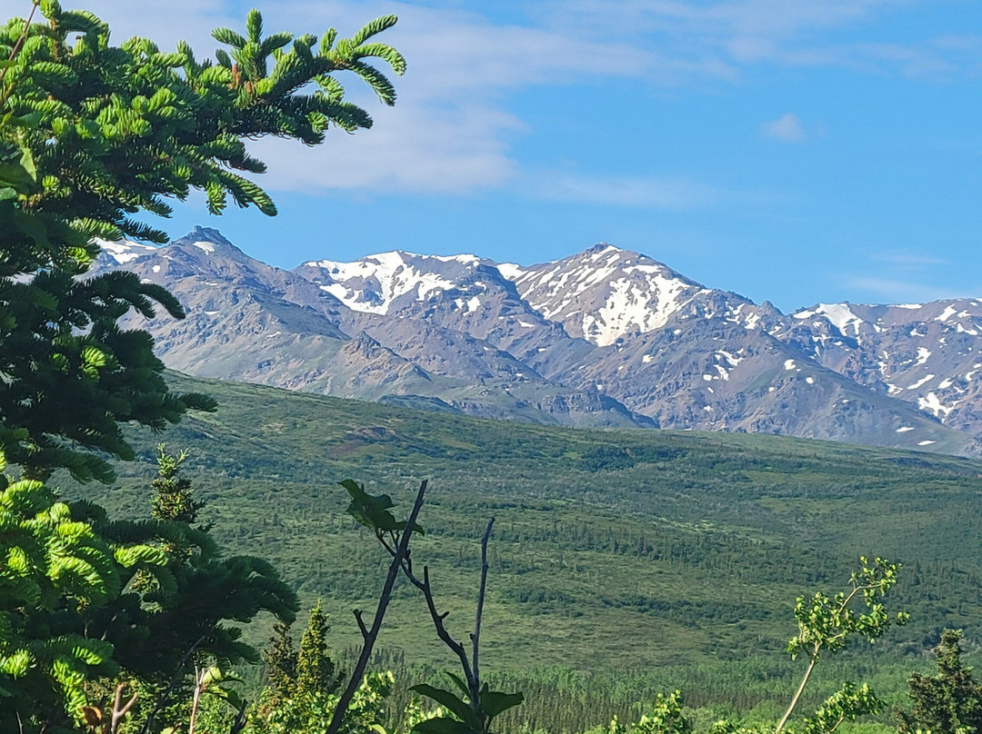 Black Diamond ATV Tours-德纳利国家公园和自然保护区必去景点