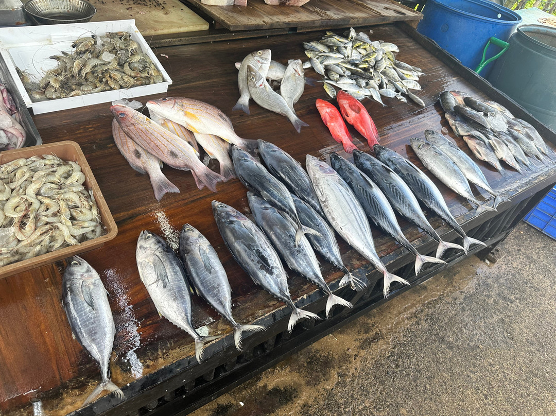 Baby Fish Point