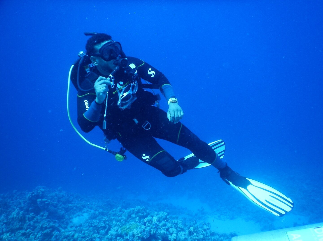 iDive Diving Centre-马卡迪湾必去景点