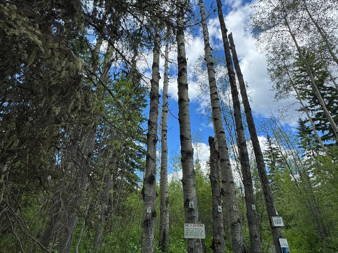 Goodsir Nature Park-乔治王子城必去景点