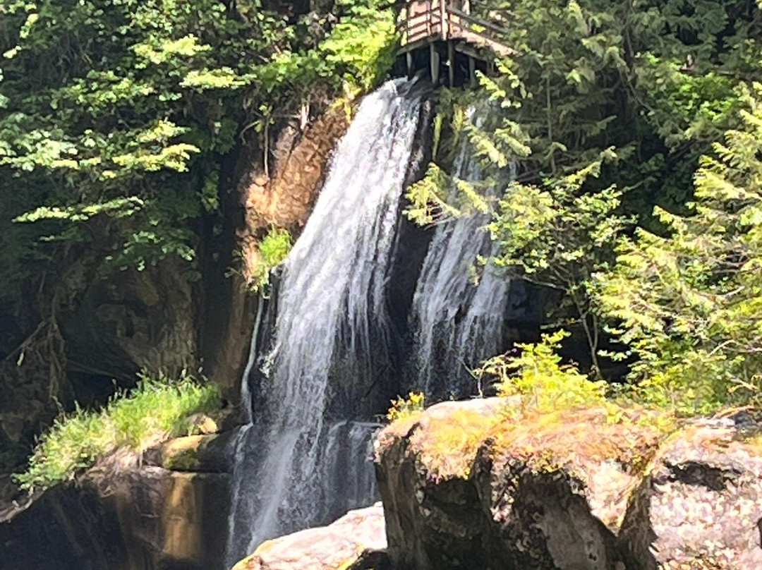 Green River Gorge Conservation Area-Enumclaw必去景点