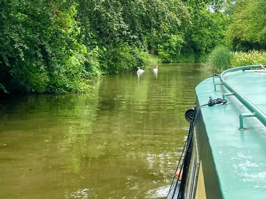 Union Wharf Narrowboats-马基特哈伯勒必去景点