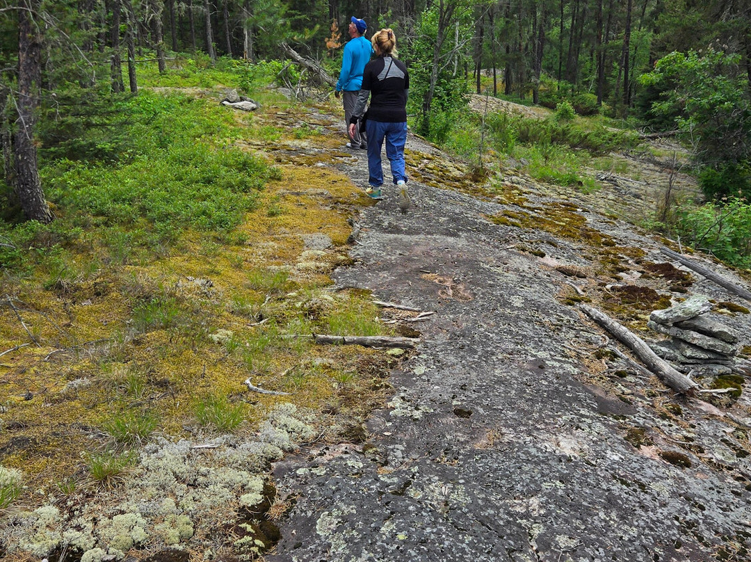 Voyageurs National Park Tours, Rainy Lake Guiding-International Falls必去景点