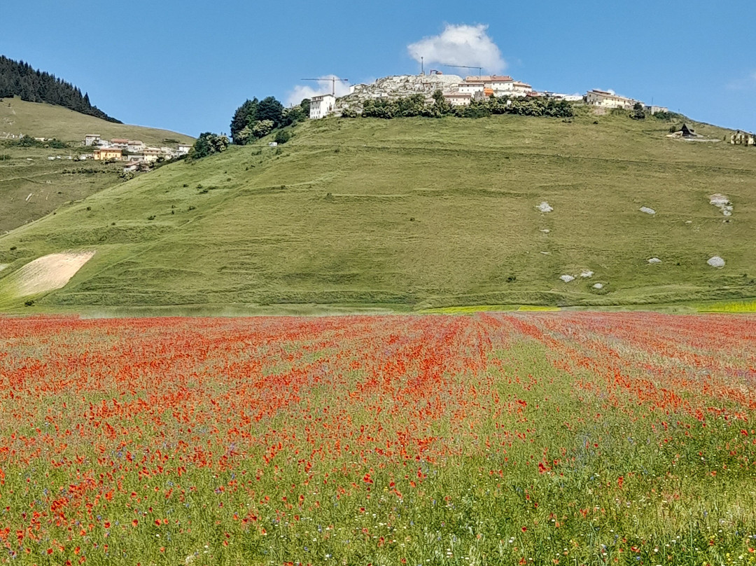卡斯特鲁奇奥公园-Castelluccio di Norcia必去景点