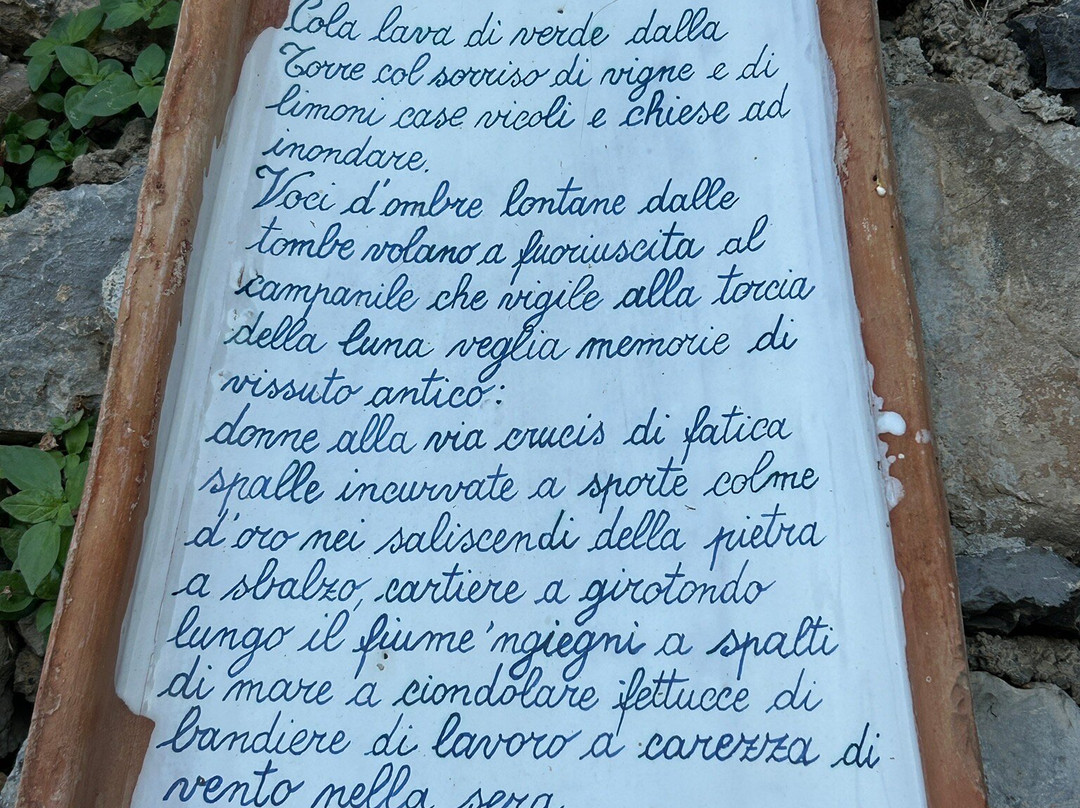 Sentiero dei Limoni-马奥莱必去景点