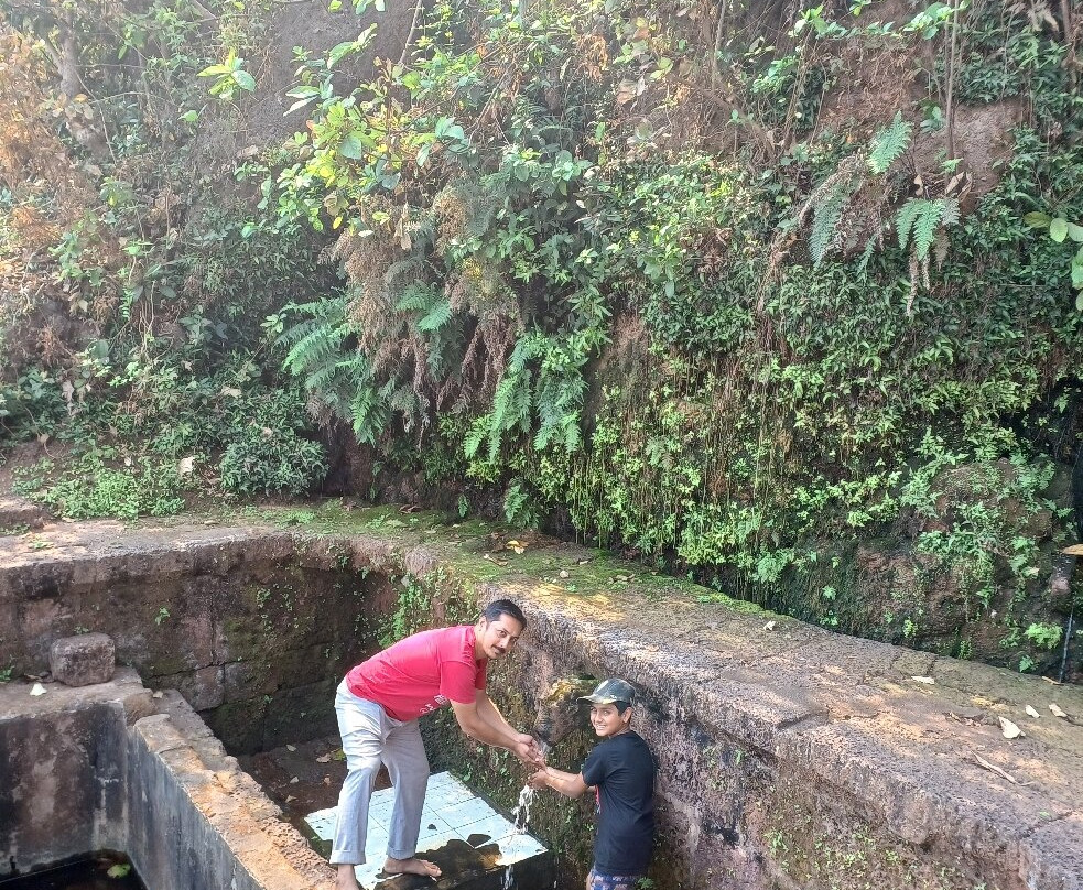 Karhateshwar Temple-勒德纳吉里必去景点