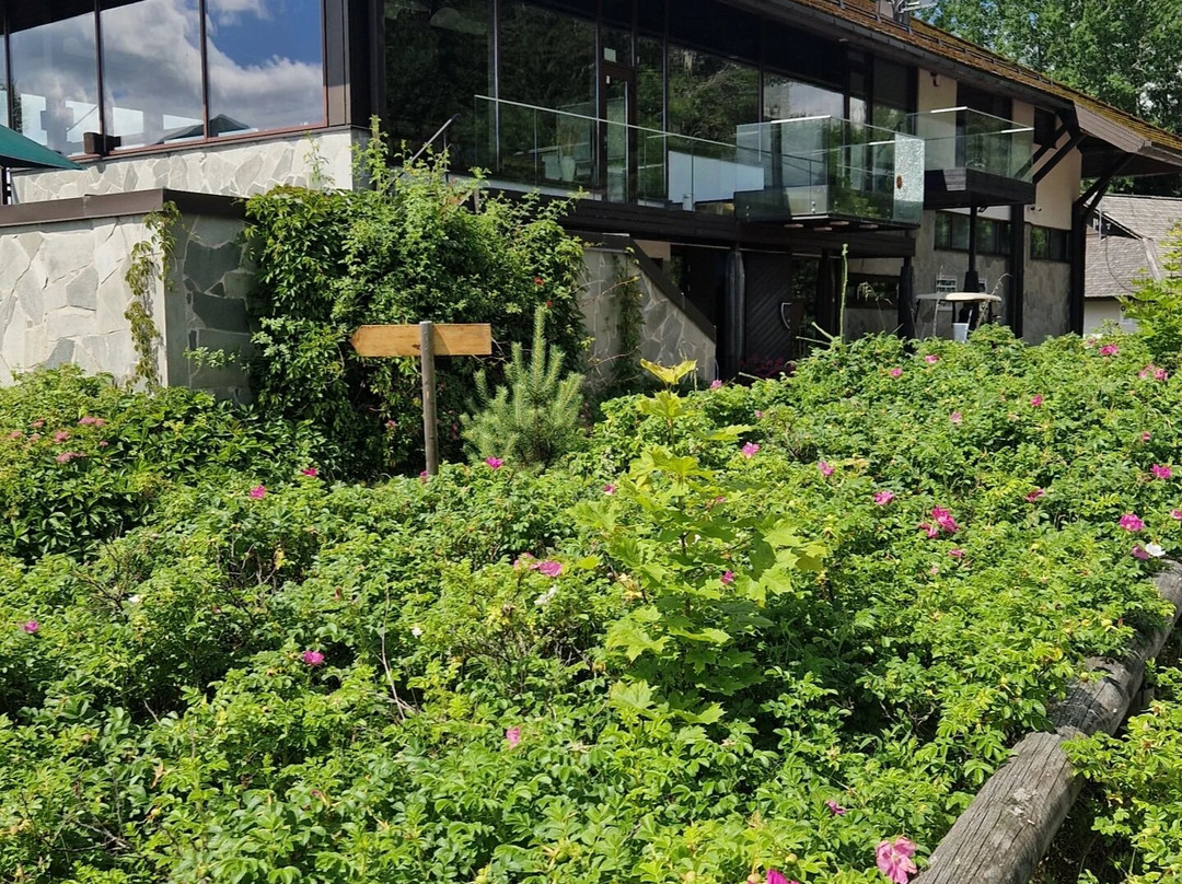 OTEPÄÄ GOLF CENTER-Otepaa必去景点