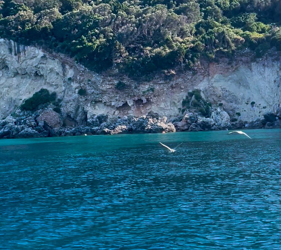 Laganas Boat Rentals-扎金索斯州必去景点