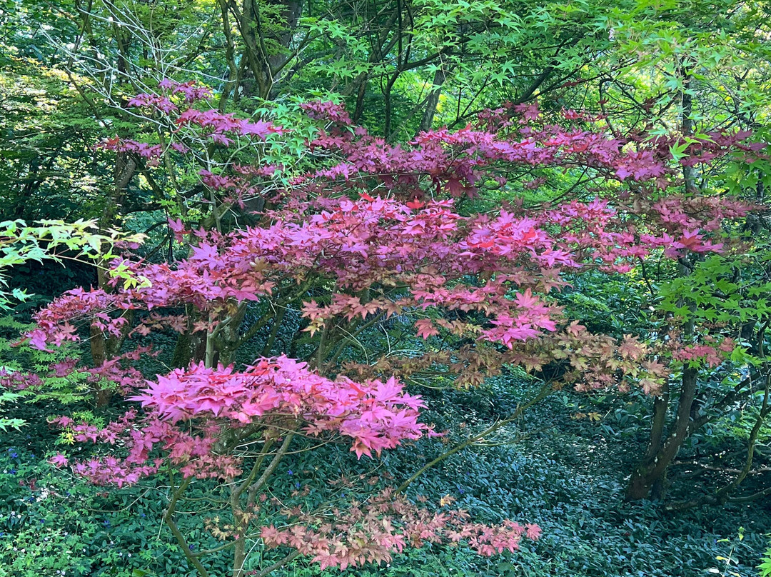 Les Jardins de Valloires-Argoules必去景点