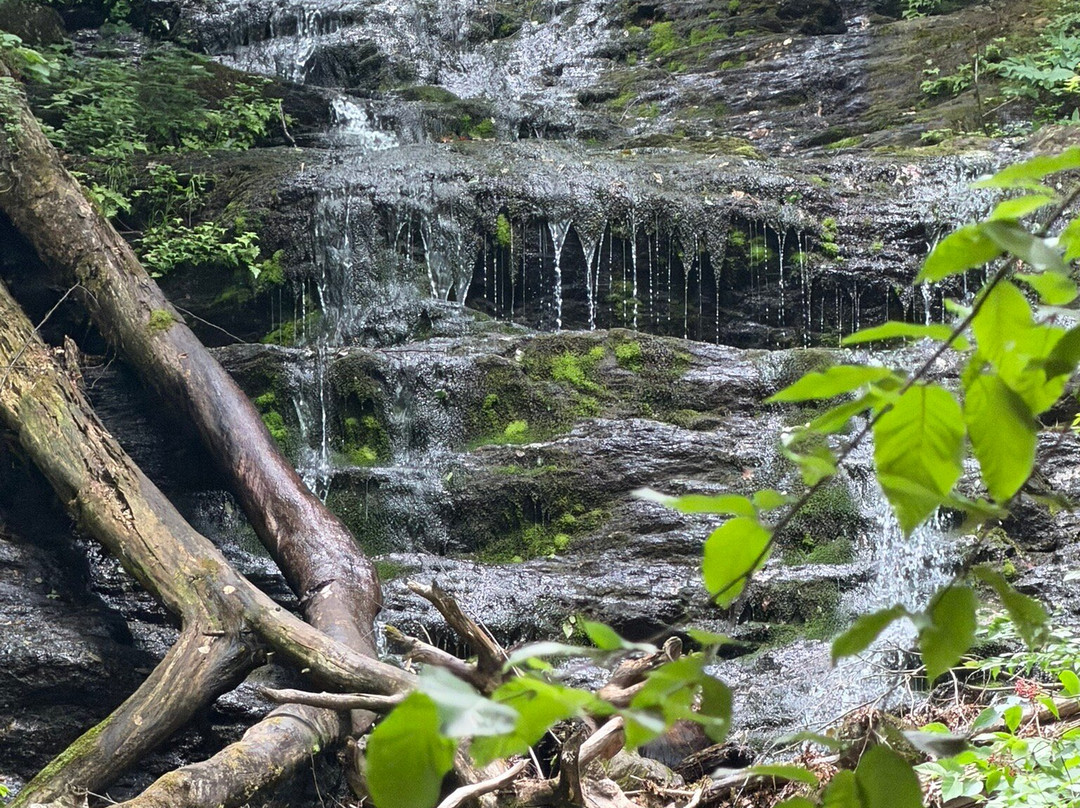 Money Brook Trail-威廉斯敦必去景点