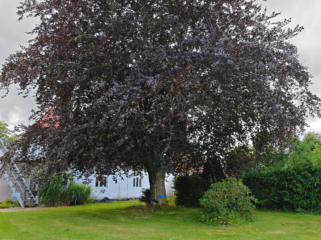 Pension Slotsgaarden Jels