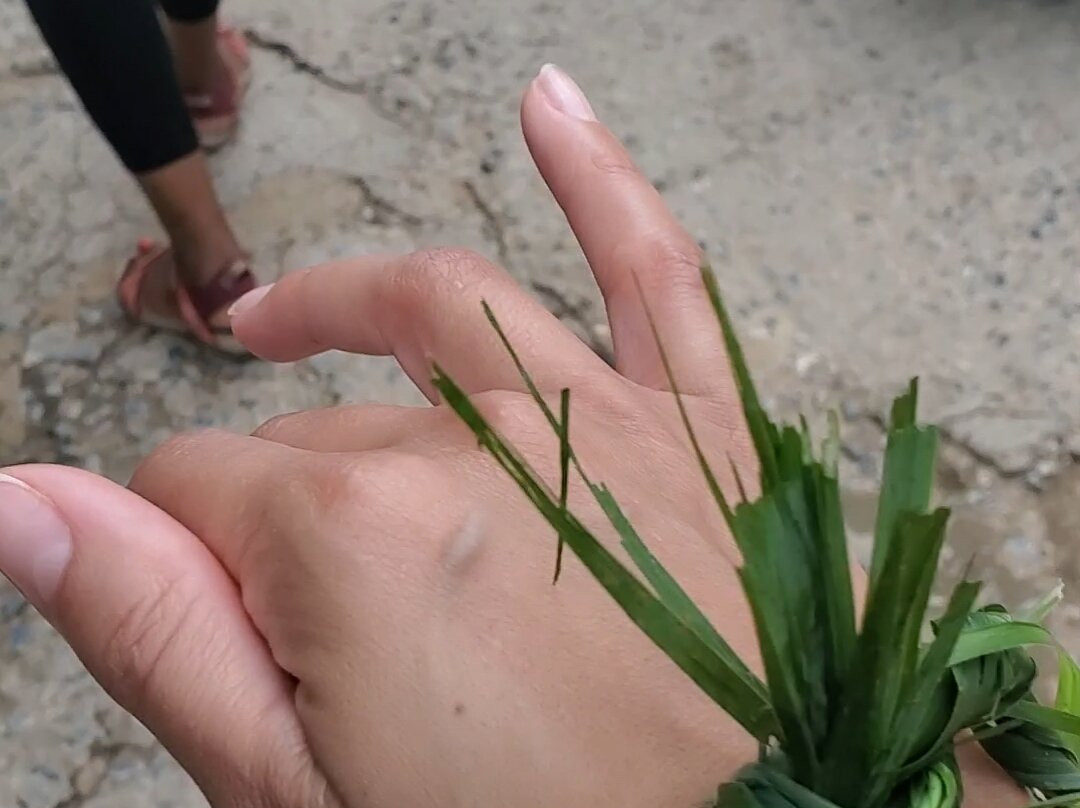 The Chai Lai Orchid-Mae Win必去景点