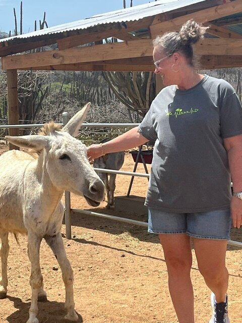 Donkey Sanctuary Aruba-Santa Cruz必去景点