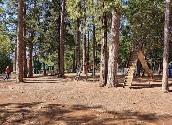 Pioneer Park