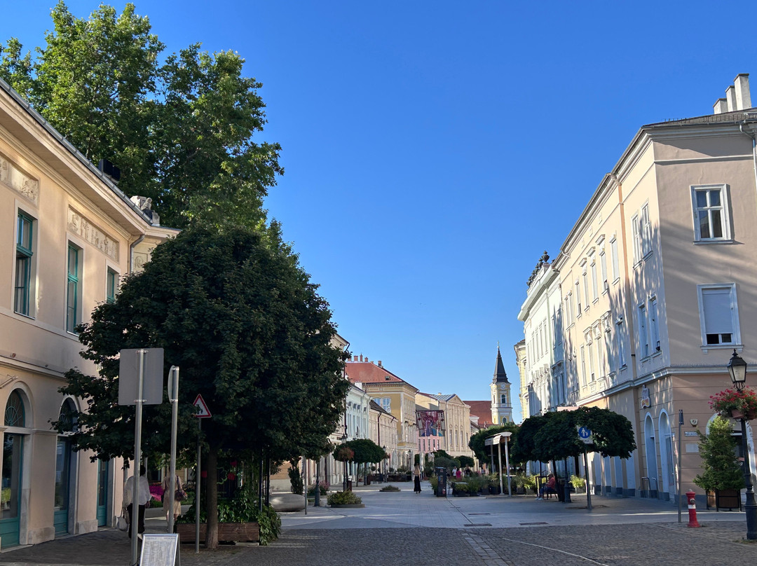 Városház Square-Szekesfehervar必去景点