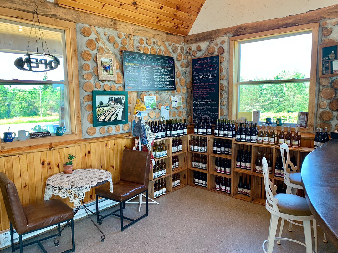 Walloon Lake Winery-皮托斯基必去景点