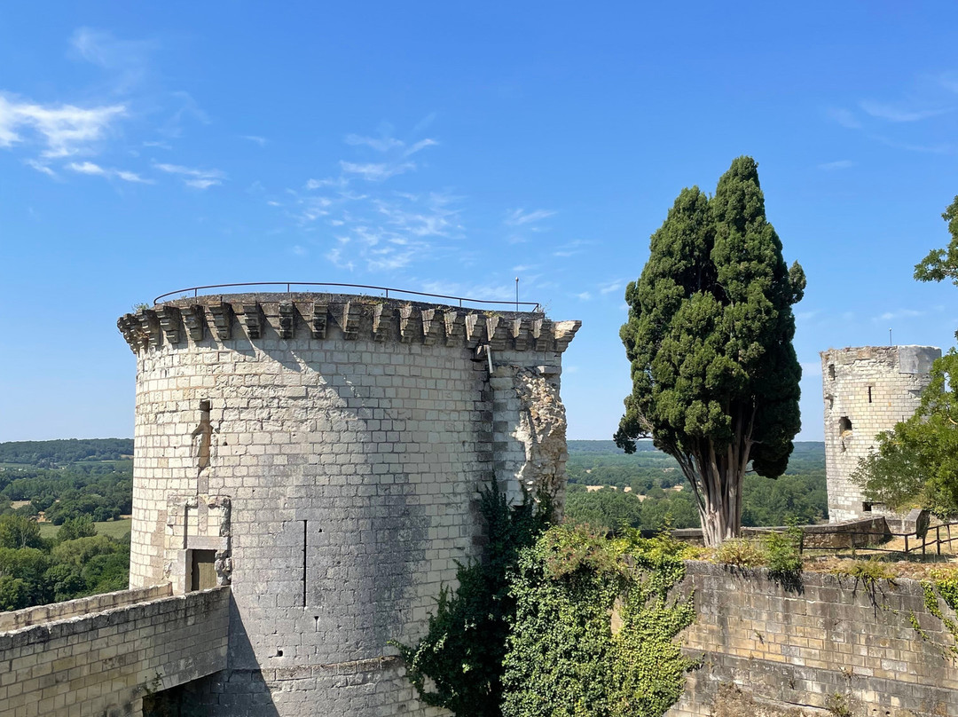 Forteresse Royale De Chinon-希农必去景点