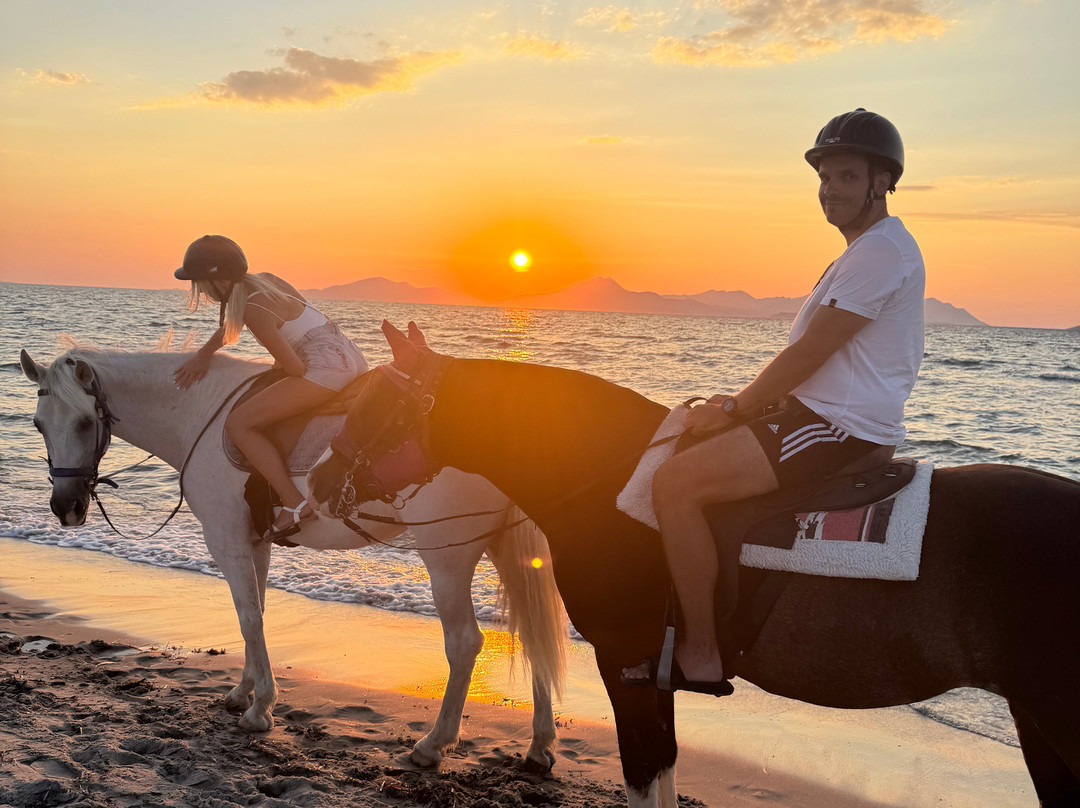 Erika's Horse Farm Kos-Marmari必去景点