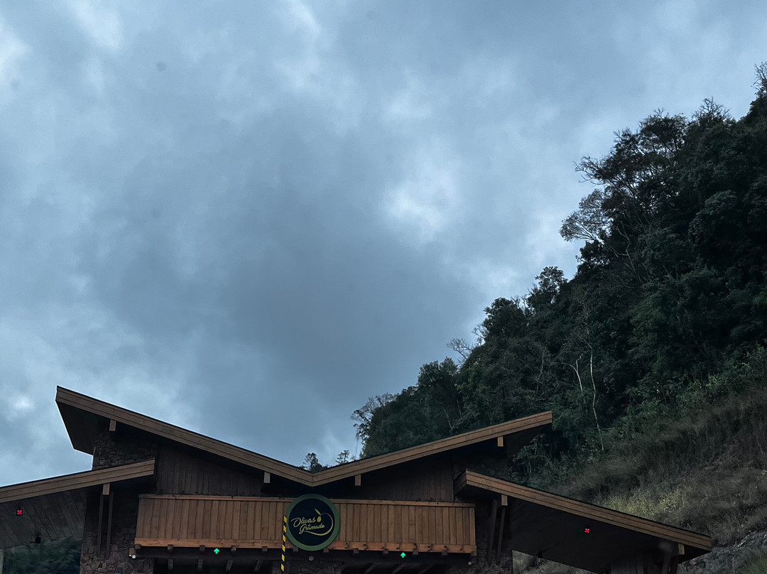 Parque Olivas de Gramado-格拉玛多必去景点