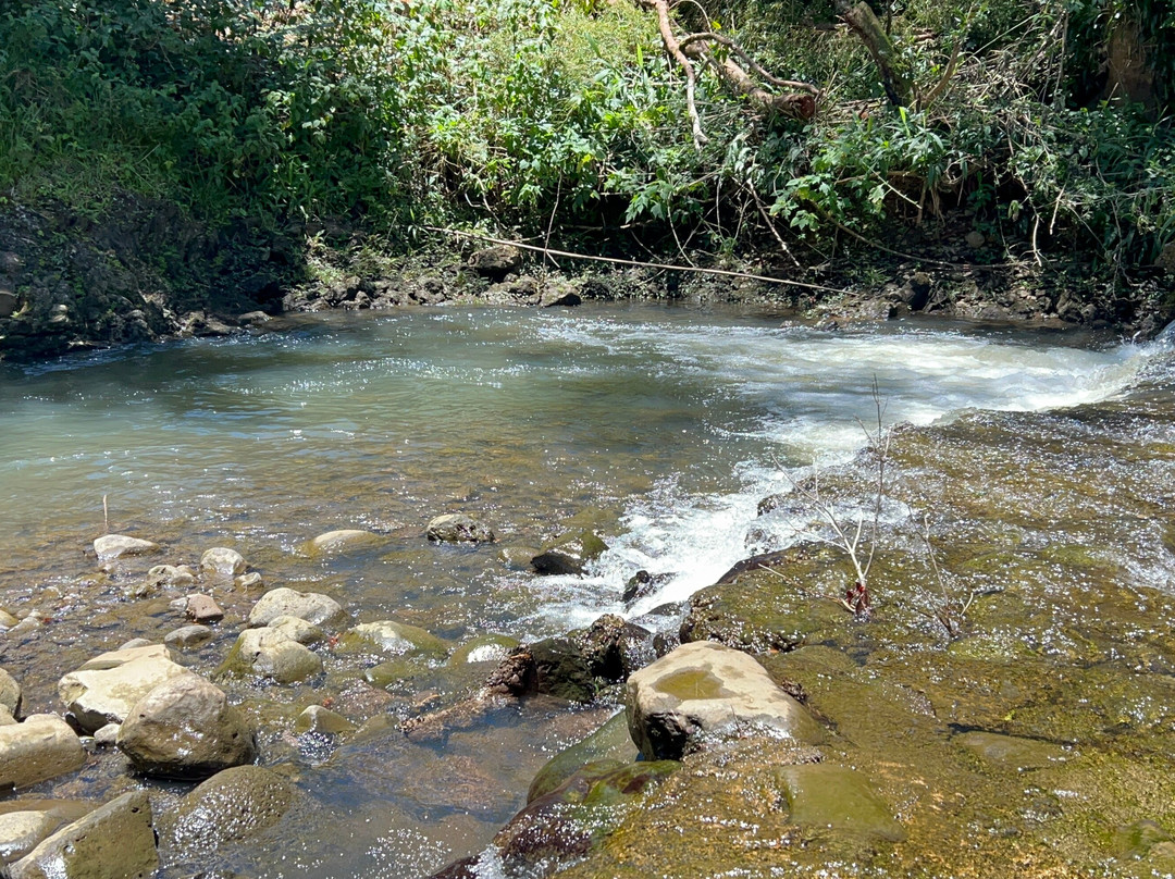 Twin Falls Maui-毛伊岛必去景点