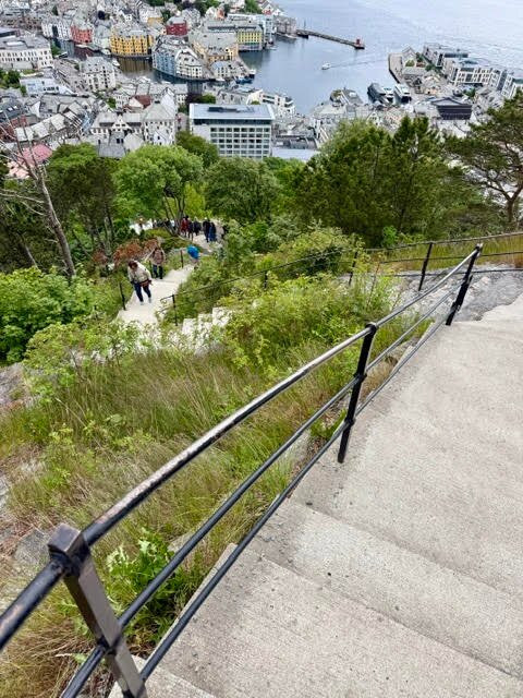 Fjellstua Viewpoint-奥勒松必去景点