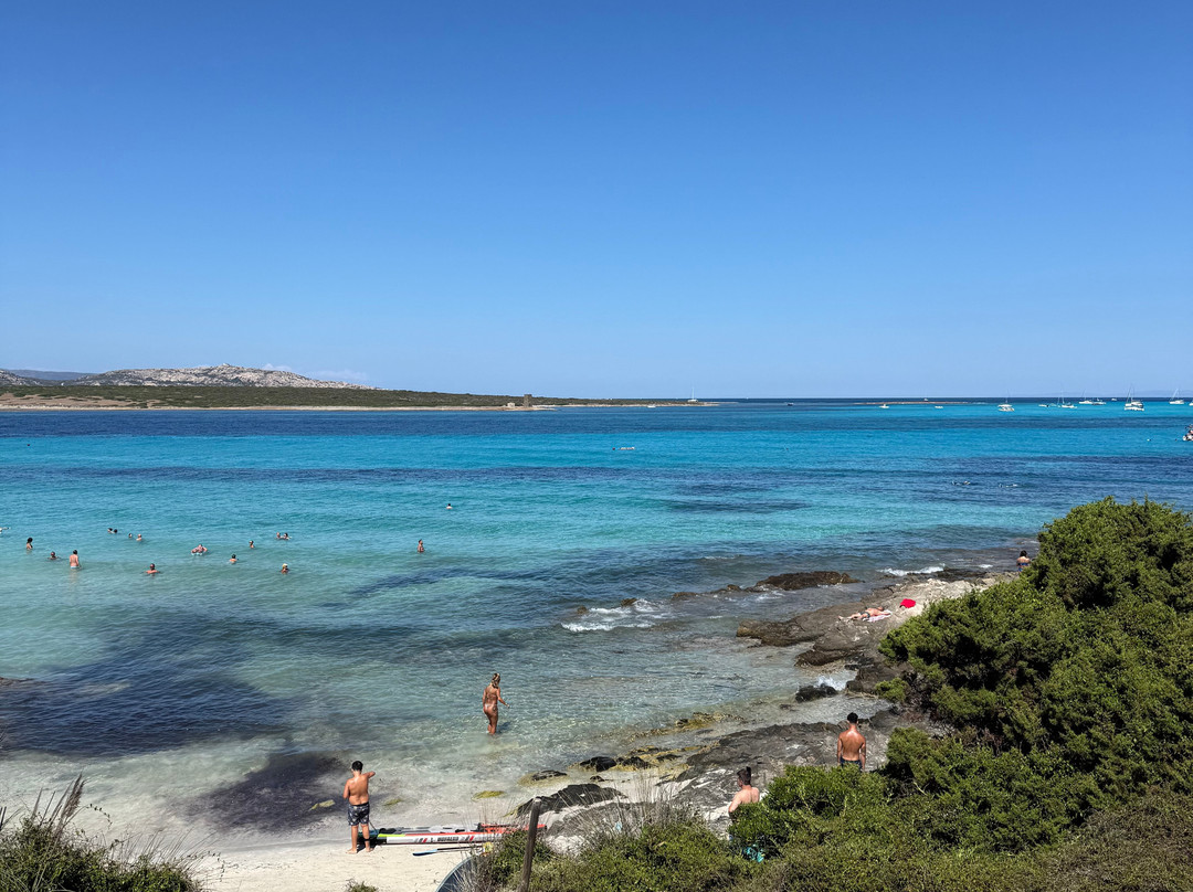La Pelosa Beach-斯廷蒂诺必去景点