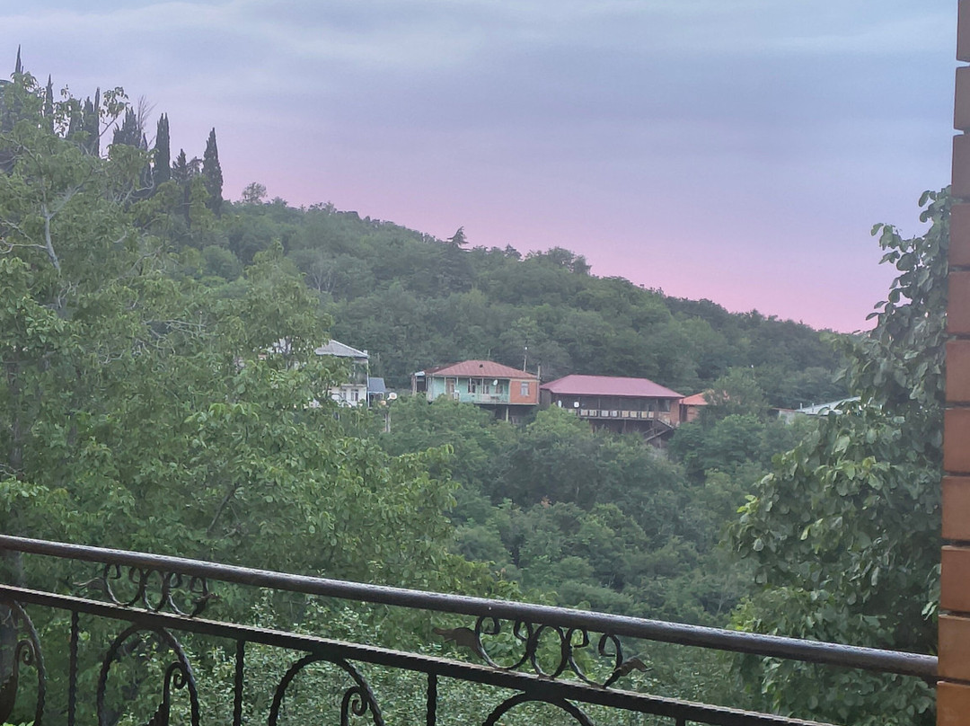 David Zandarashvili's Guesthouse主图
