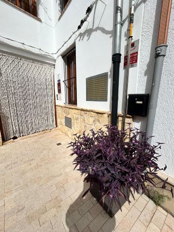 拉西特亚酒店-限成人-旅行者