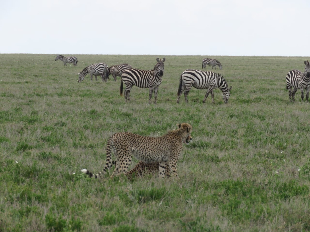 Serengeti National Park