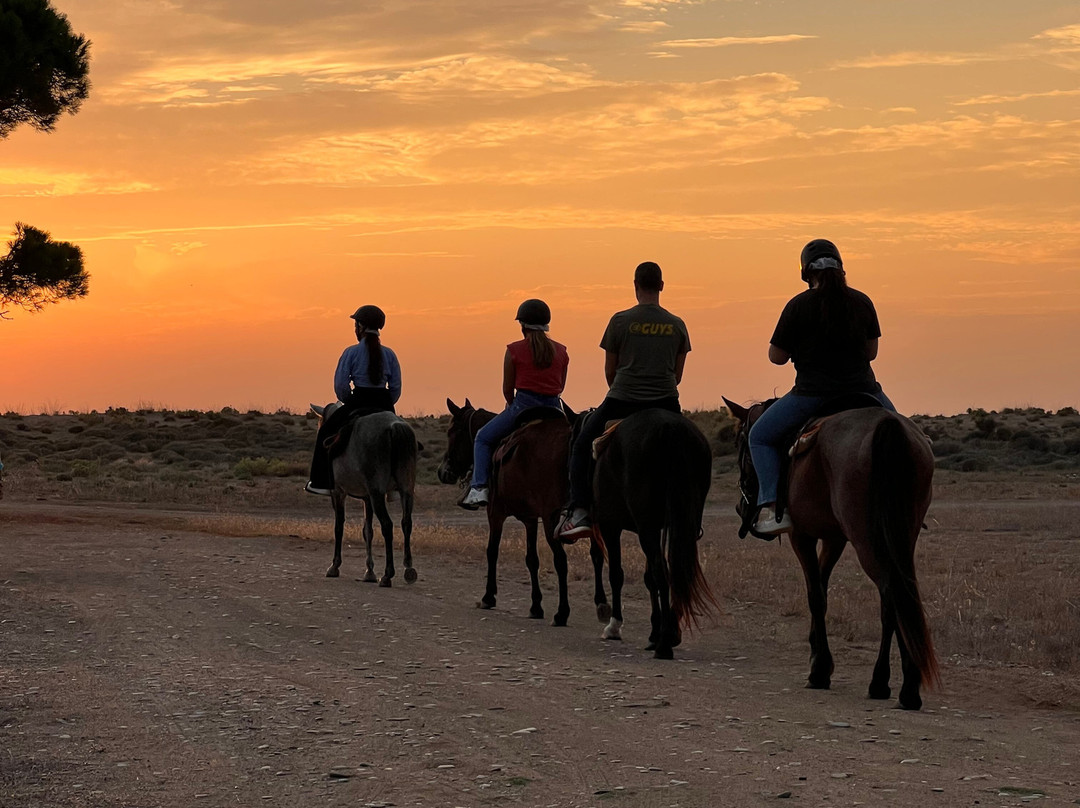 Elea Horse Riding-Kyparissia必去景点