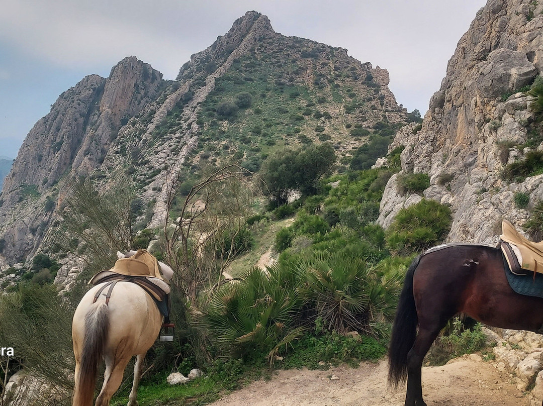 Horse Riding El Chorro-El Chorro必去景点