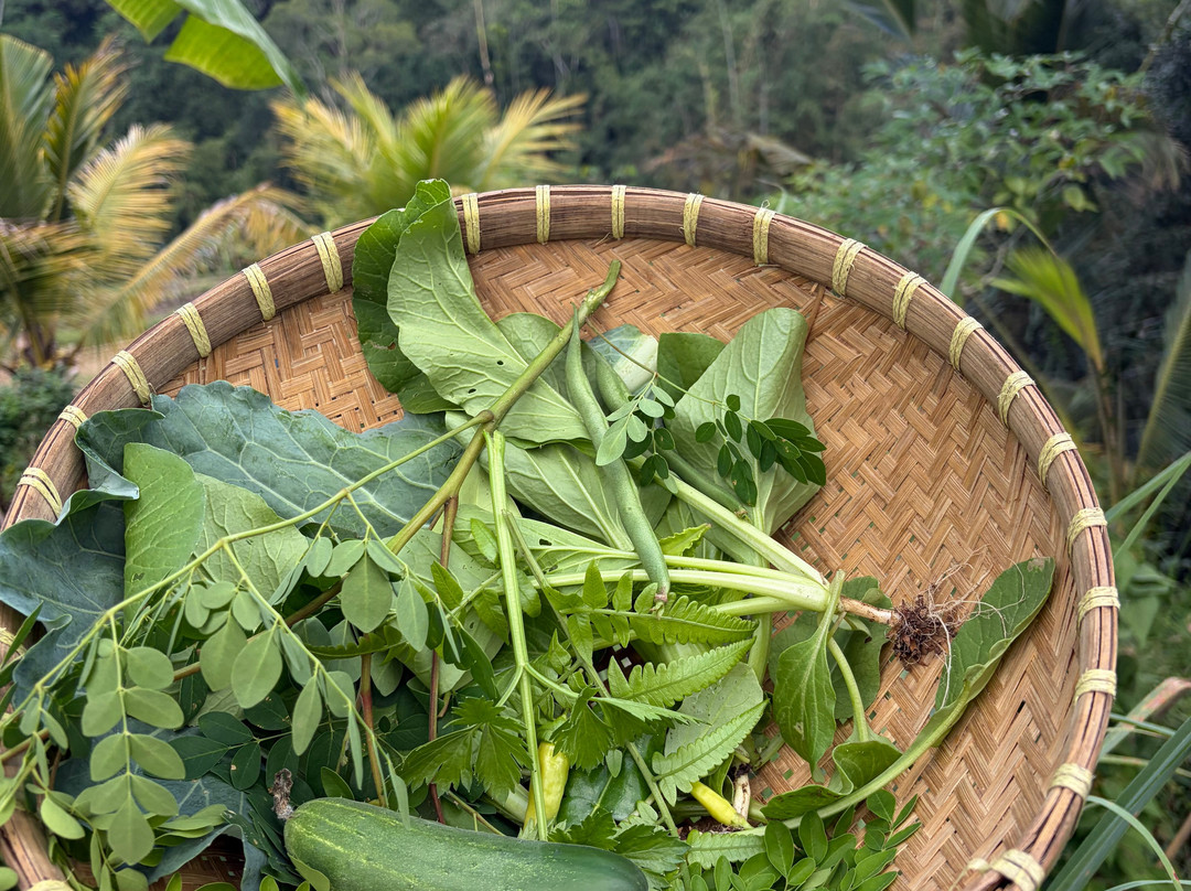 Kubu Terrace Jatiluwih Official-Jatiluwih必去景点