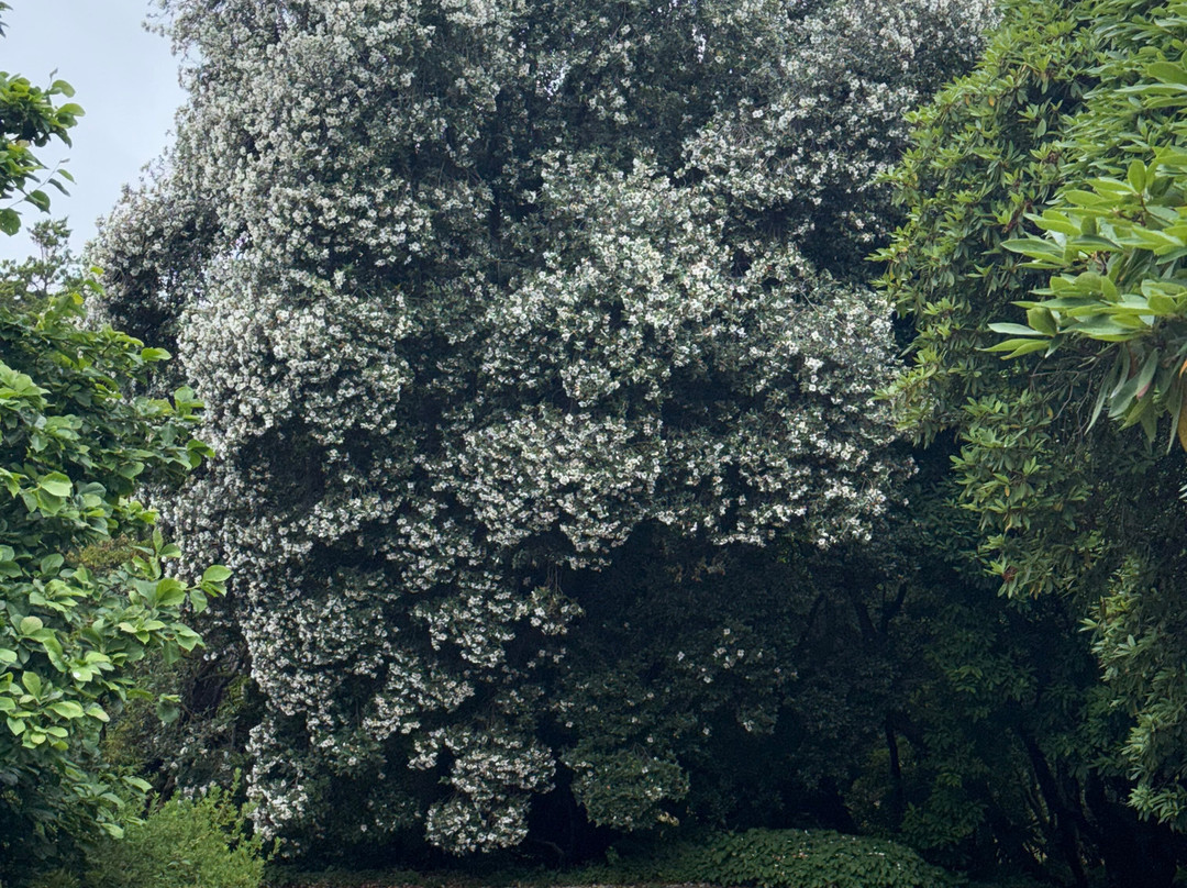 Holker Hall and Gardens-Grange-over-Sands必去景点