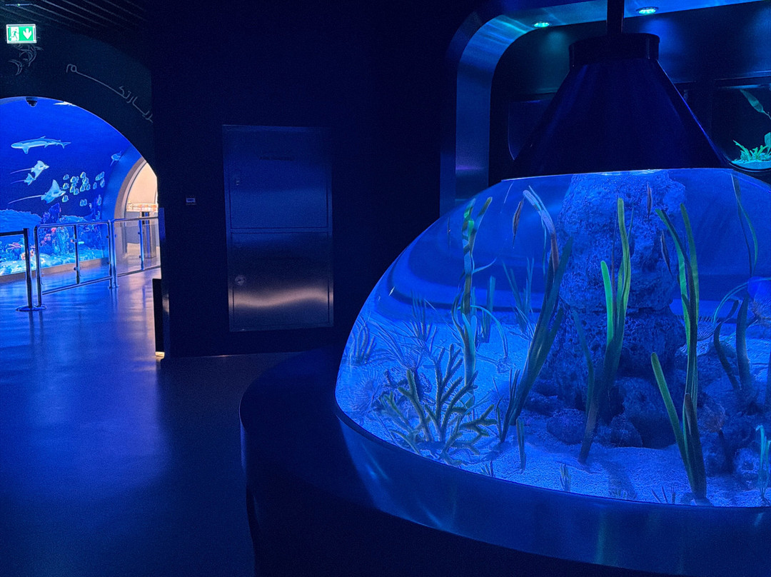 Marassi Aquarium & Underwater Zoo-Diyar Al Muharraq必去景点