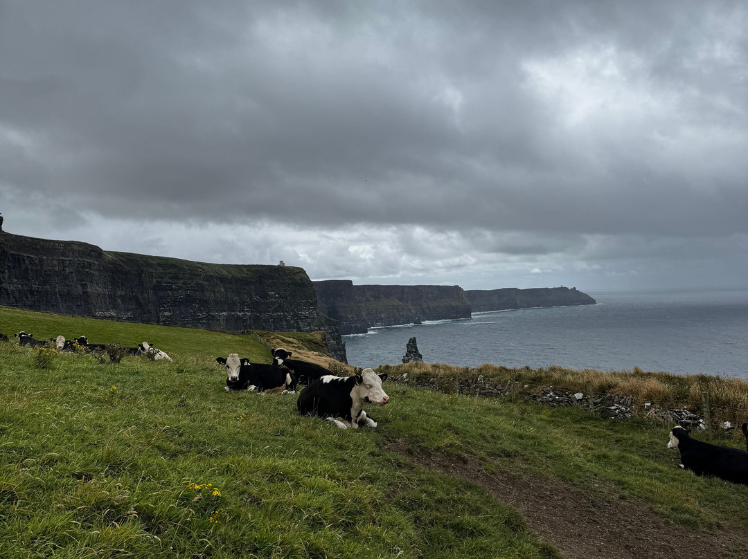 Doolin Cliff Walk-杜林必去景点
